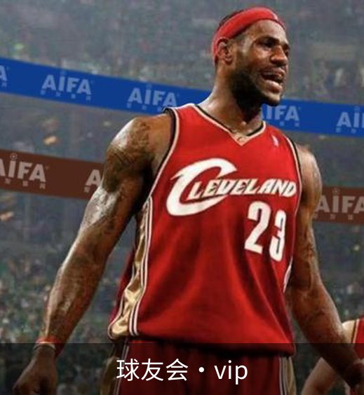 球友会·vip概况